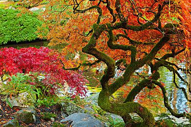 任天堂Switch2首月销量突破500万台 真是卖疯了！